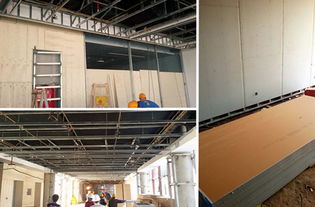 APEC藍(lán)天下的室內(nèi)健康守護(hù) 龍牌凈醛石膏板